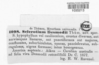 Sclerotium desmodii image